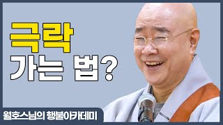 '이것' 하면 극락 갈 수 있습니다 [월호스님의 행불아카데미 339]