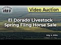 El dorado livestock auction spring fling horse sale