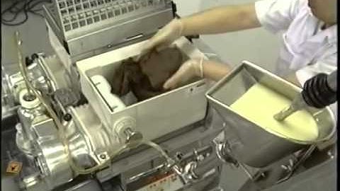 Rheon Double Filling Feeder Pump Type For Liquids Encrusting Machine Option