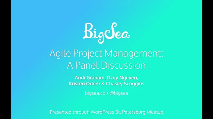 Agile Project Management: A Panel Discussion