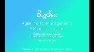 Full Agile Project Management: A Panel Discussion News