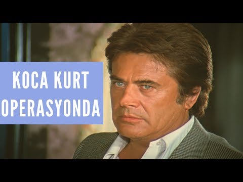 Koca Kurt'un Tüm Operasyonları | Vazife Uğruna