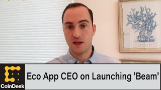 Eco App CEO on Launching 'Cash-Like' Crypto Wallet 'Beam' screenshot 4