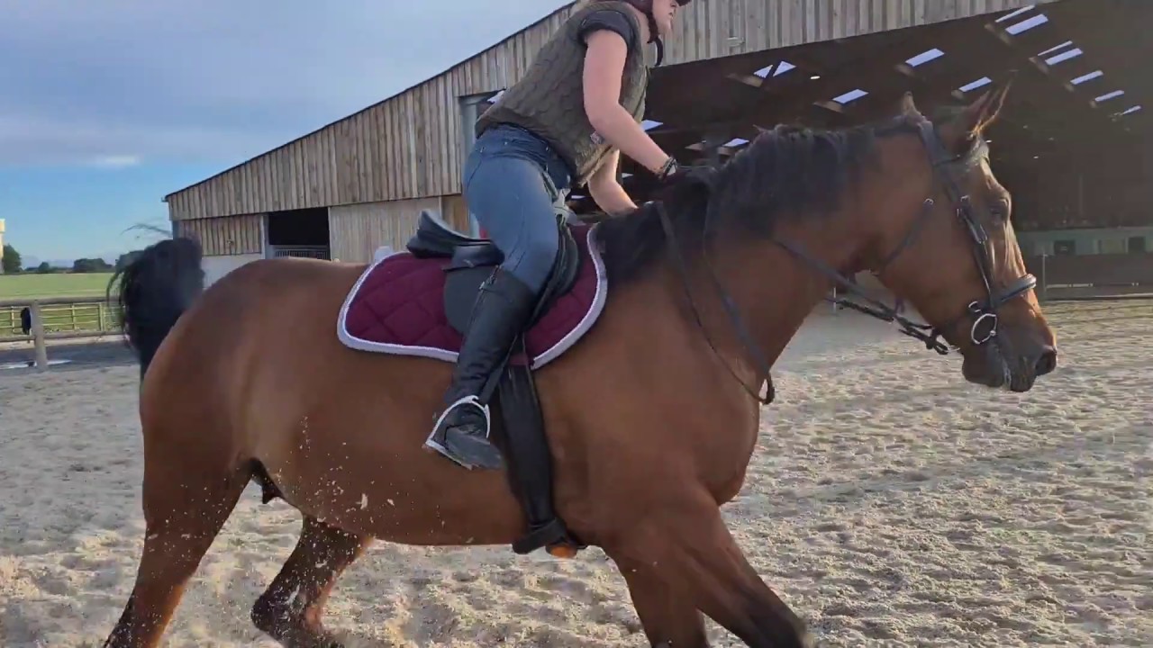 Seance De Saut 13 Juin 2020 YouTube seance-de-saut-13-juin-2020-youtube