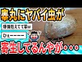 【2ch面白いスレ】〇玉に何かヤバイ虫がいるんだが・・・【ゆっくり解説】