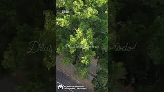 29 De Janeiro De 2022