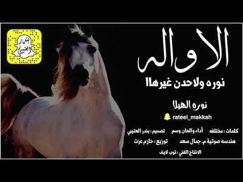 شيلة الاوله نوره ولاحدن غيرها اداء وسم 2021 حصريا