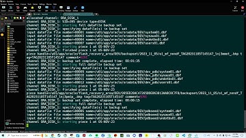 Oracle Database 19c Archiving Modes (Archivelog vs Noarchivelog) |