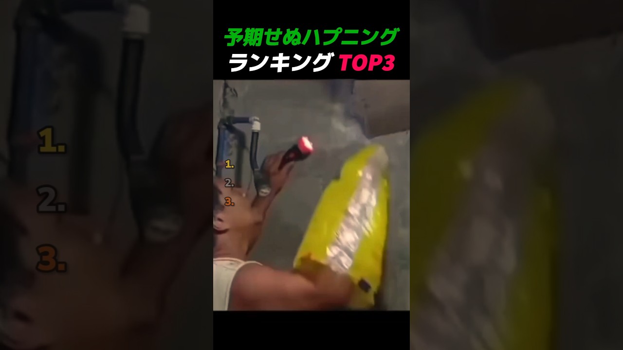 予期せぬハプニングランキング