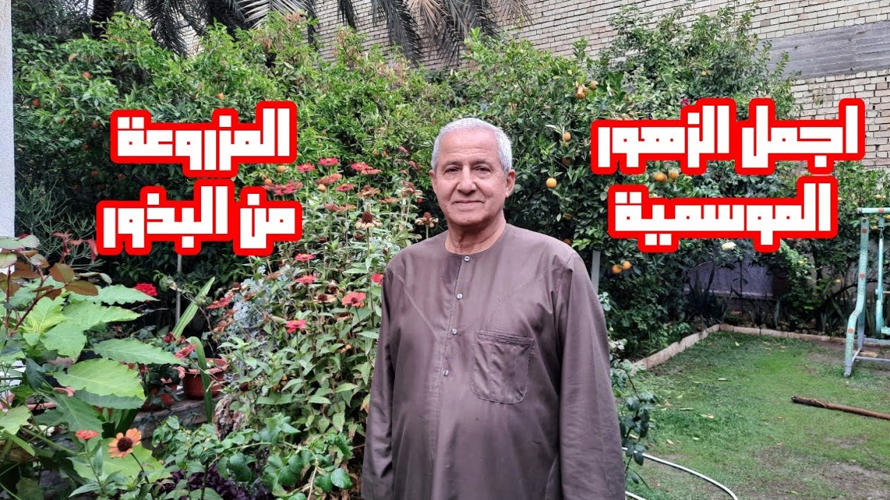 اجمل الزهور الموسمية المزروعة من البذور 