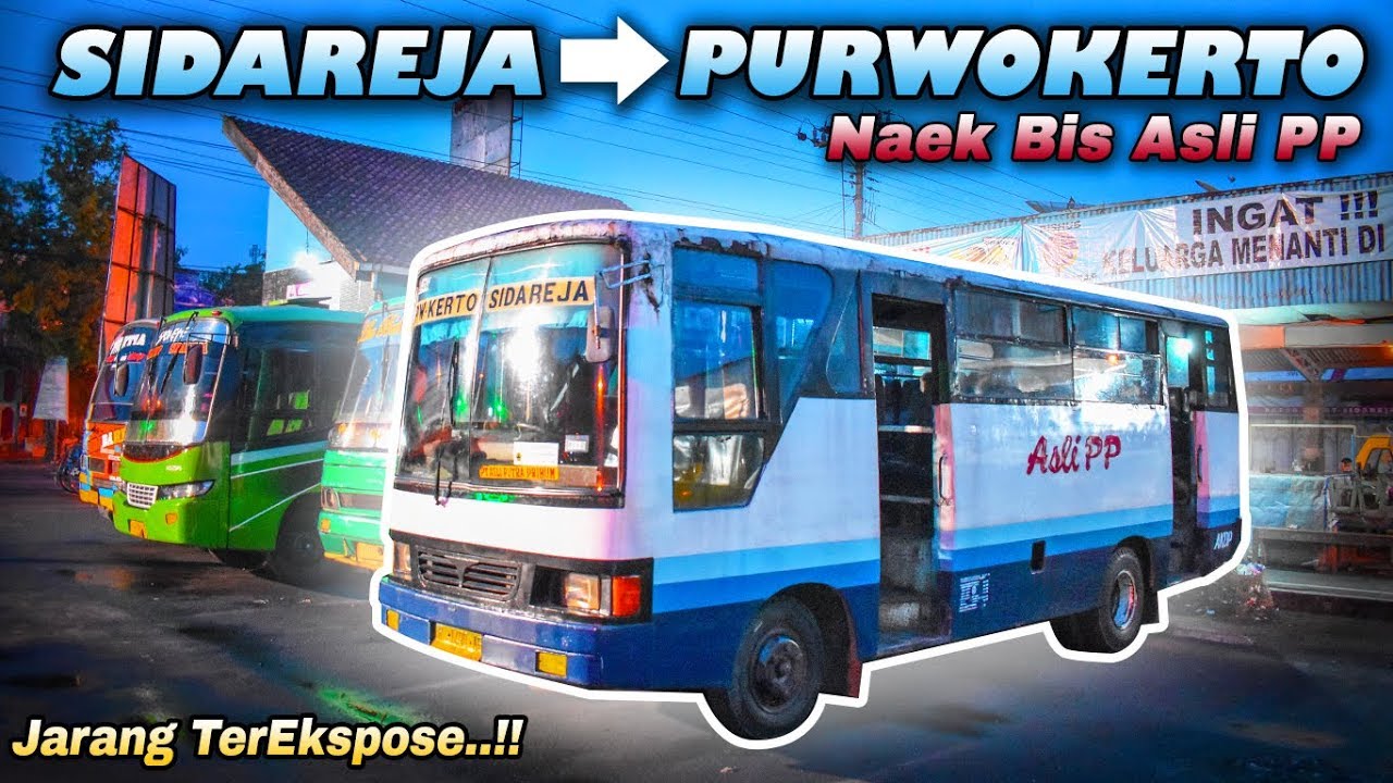 Naik Bis Kecil Penghubung Kota Sidareja & Purwokerto | Bis Asli PP Sidareja - Purwokerto