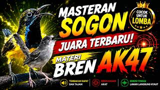 MASTERAN SOGON JUARA 2026 🔥 Tembakan Cigun Brem AK 47 Ciblek Gunung Paling Dicari