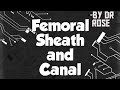 Femoral Sheath and Canal | Lower limb | Tamil |