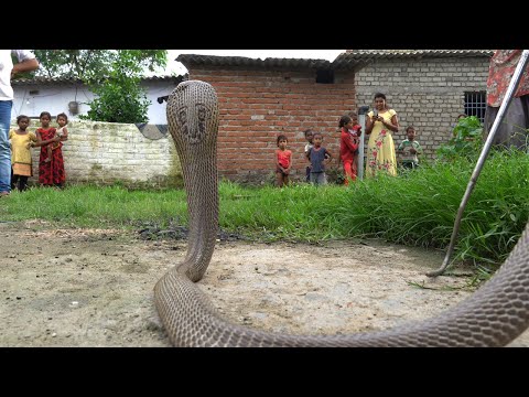 वीडियो: ग्रीक बीयर रेस्तरां बीयर सोचो बुलाया