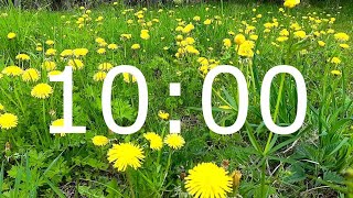 10 Minute Spring Timer with Relaxing Music and Flowers for Meditation