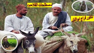 مصطلحات زراعية يعرفها الفلاحين فقط..  / أساسيات محاصيل