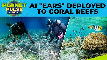 AI-Powered Hydrophones Reveal Stunning Secrets of Coral Reefs | Planet Pulse | N18G