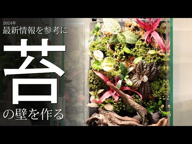 2024最新刊】 新装版パルダリウムとアクアテラリウムを参考にして苔の