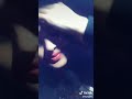 لكل اصحابي المصلحجية