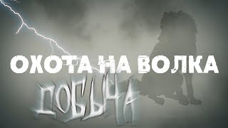 3 волка вышли на охотника. Выстрел и попадание в кадре!  Охота на волка с Белорусским волчатником