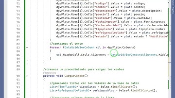 Programando el Registro de Plato en .NET con Arquitectura N-Capas (C# y SQL Server) [2025]