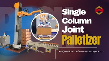WIN-WIN PACK Single Column Joint Palletizer with Vacuum Gripper for Carton Stacking #palletizer