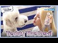 Teddy The Devil 😈 [Dogs are incredible : EP.197-1] | KBS WORLD TV 231212