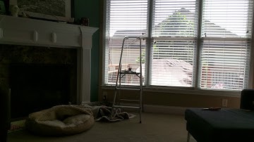 Hortal Plantation Blinds Automation - Home Assistant Integration