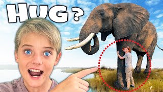 we hug elephants river wilder wild africa adventures