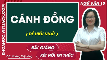 Cánh đồng | Ngữ văn 10 - Kết nối tri thức (DỄ HIỂU NHẤT)