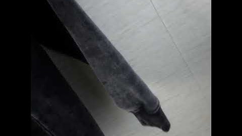 vue video cache filtered spliced16