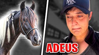 Thumbnail for o ÚLTIMO VÍDEO do EMBAIXADOR do PEPÊ 😭
