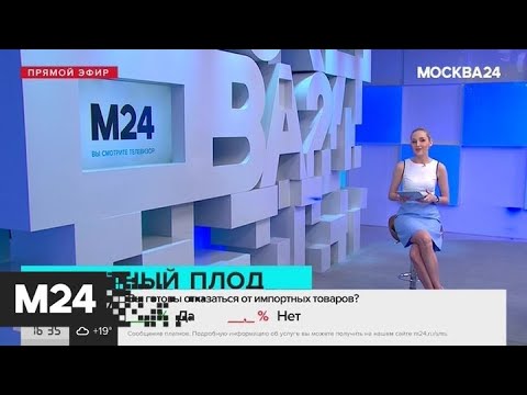 "Жизнь в большом городе": импортозамещение - Москва 24