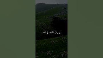 قل أعوذ برب الفلق 🌿🧡سورة الفلق بصوت جميل جدا حالات واتس اب دينية مؤثرة 🌾🌾
