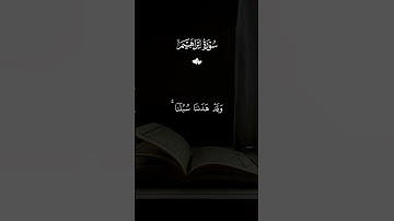 #قرآن #قرآن_كريم #quran #خشوع #راحة_نفسية #القرآن #تلاوة #peace #تلاوة_خاشعة #اسلاميات foxyoeditz#