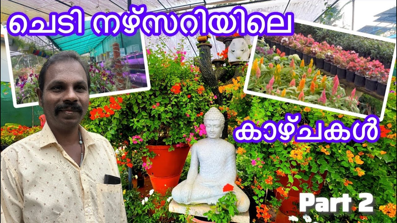 ചെടി നഴ്സറിയിലെ കാഴ്ചകൾ കാണാം ✨