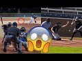 Baseball Videos That Blend My Smoothie | Baseball Videos