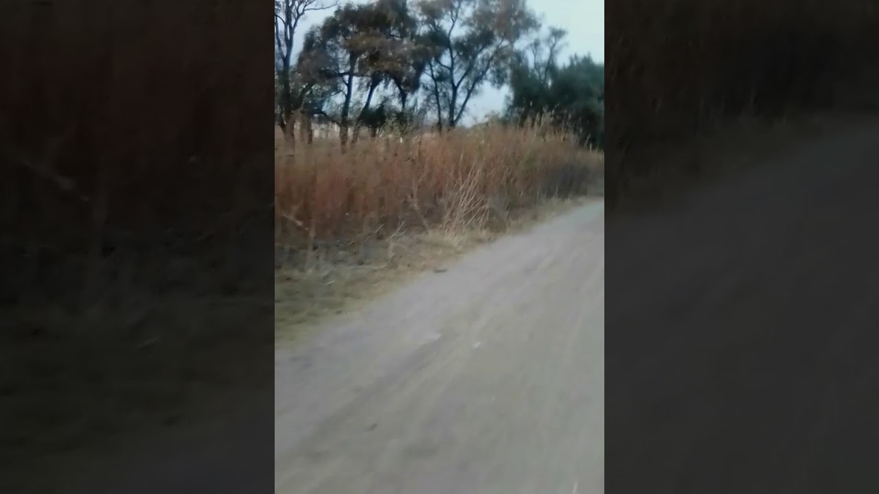 Fumando un porro por el rio