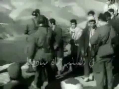 من أجلك عشنا يا وطني الكلمات