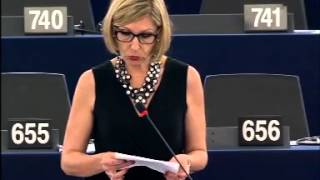 Beatriz Becerra Basterrechea 7 Jul 2015 plenary speech on Tax avoidance and tax evasion