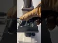 Nature water under microscope #microscope #viralvideo