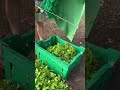 Amazing Factory 🏭 #asmr #satisfying #oddlysatisfying #factory #fyp