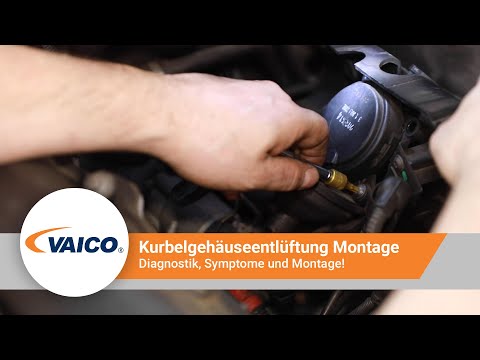 VAICO Kurbelgehäuseentlüftung 3er BMW E46 - [V20-2508]