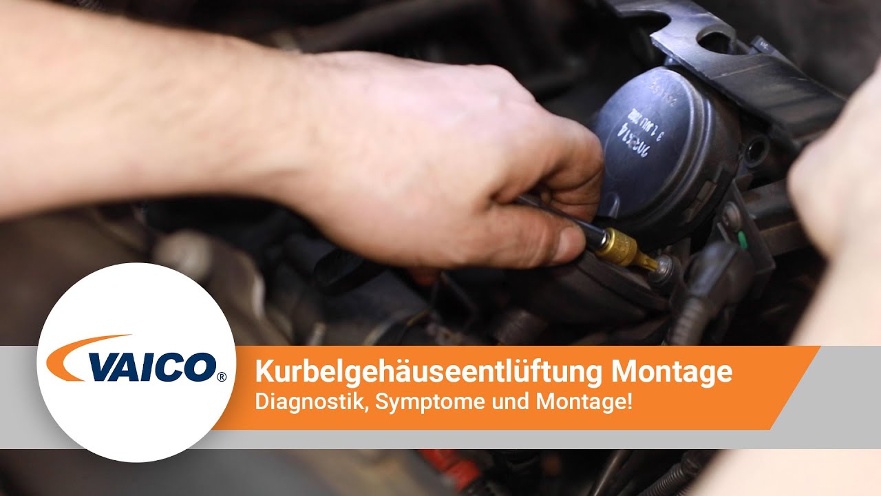 Kurbelgehäuse-Entlüftungsventil Für BMW E46 E60 E65 X3 - Inkl. Dichtung