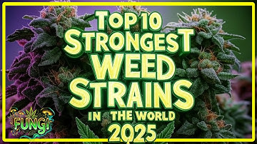 🔥 TOP 10 STRONGEST WEED STRAINS IN THE WORLD RIGHT NOW! 💨 | FUNGI Co News🍃✨