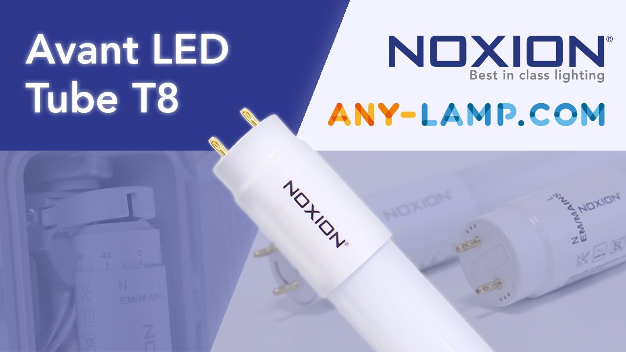 Noxion Avant LED tube T8 - YouTube