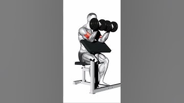 CURL DE BICEPS EN BANCO SCOTT CON MANCUERNAS - EJERCICIO