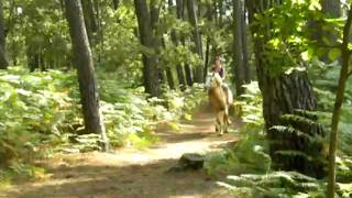2Ème Galop Avec Fearboy