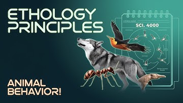 SCI: 400 Ethology Principles of Animal Behavior Explained – Study of Wild Animals Cracking the Code