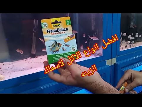 تغذيه اسماك الزينه كل ماهو جديد في طعام الاسماك والسخانان وجمع انواع اسماك الزينه مع مؤسسة اكواريوم